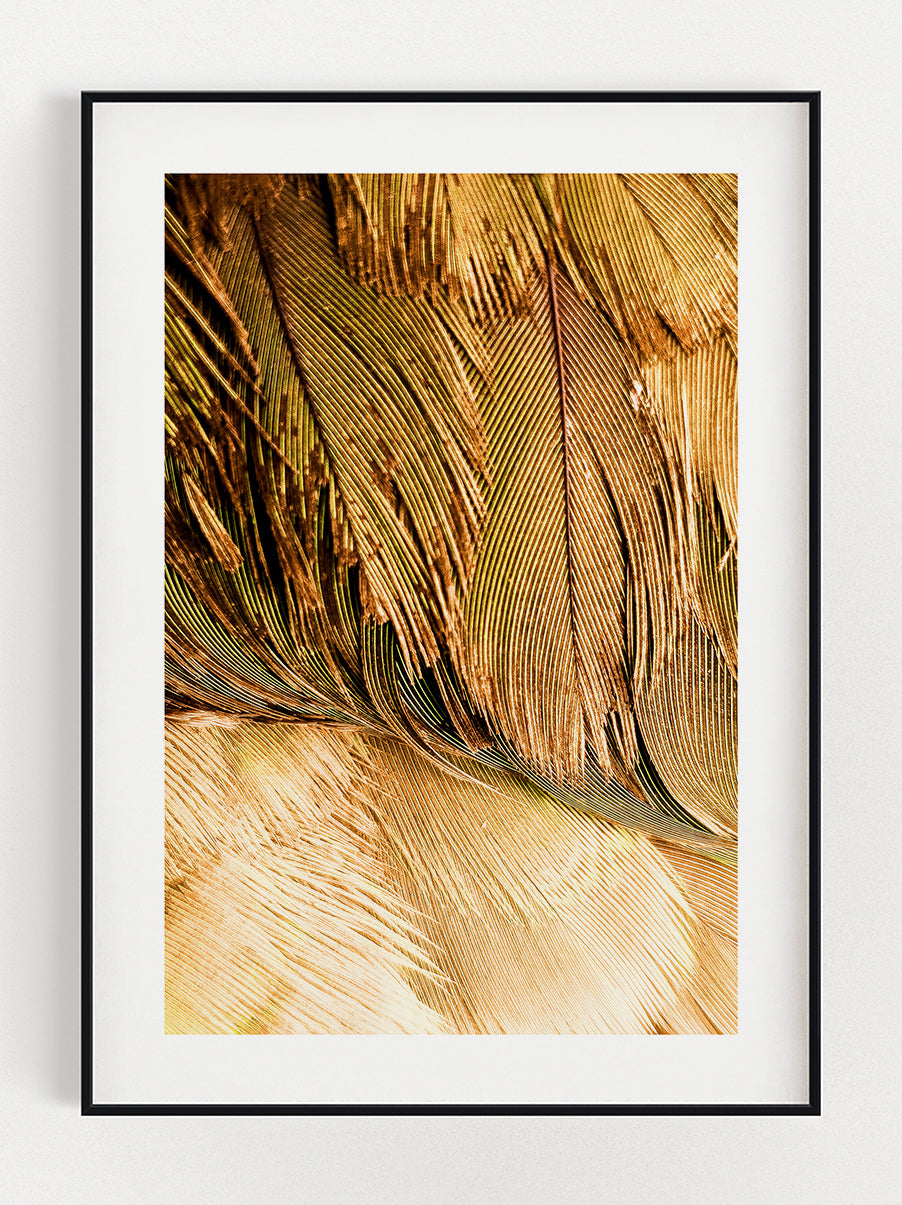Changing Colors Poster