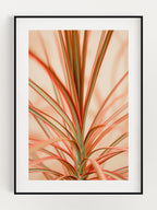 Red Highlight Plant Poster